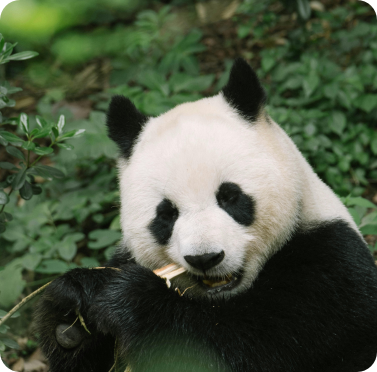 china1-topcity-list4