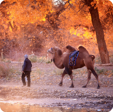 china1-topcity-list7